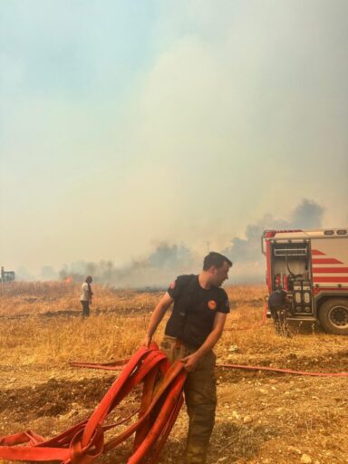 Bugün öğlen saatlerinde Aliağa Bozköy Mahallesi yakınlarındaki ormanlık alanda çıkan