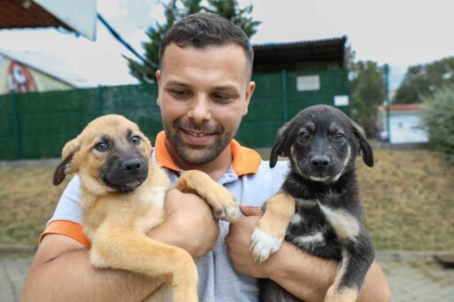 Buca’da sahiplenilen can dostlarına ücretsiz bakım