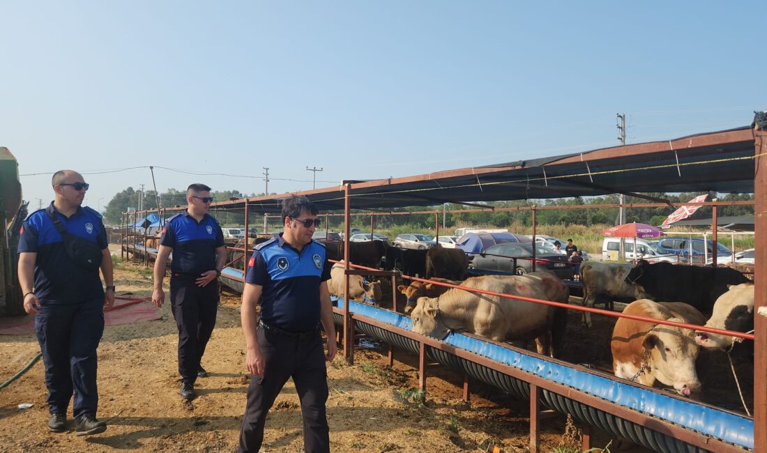 Çiğli’de kurban pazarlarına ve kesim noktalarına sıkı denetim Çiğli Belediyesi Zabıta Müdürlüğü ile İlçe Kurban Komisyonu ekipleri Kurban