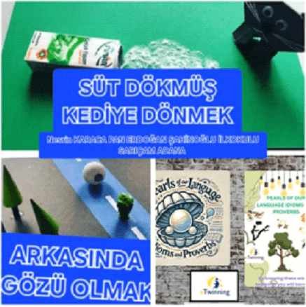 Dilimizin İncileri Sınırları Aştı