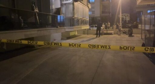 Türkiye Kadına Yönelik Şiddet Araştırması (2024) sonuçlandı. Yaşamının herhangi bir