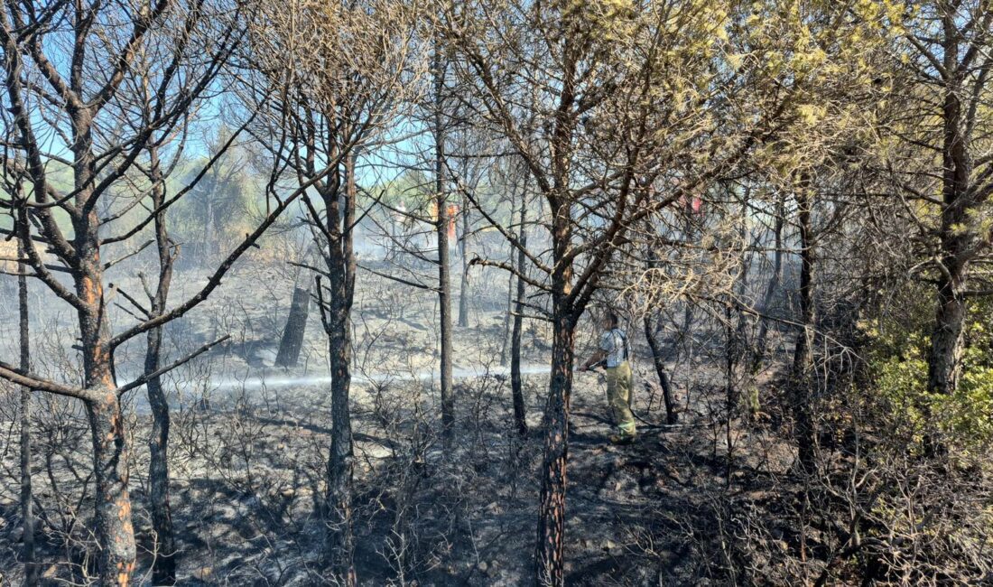 Sema Ünal: Yangınlara karşı halk bilinçlenmeli Ata Parti İzmir İl Başkanı Sema Ünal günlerdir İzmir ve