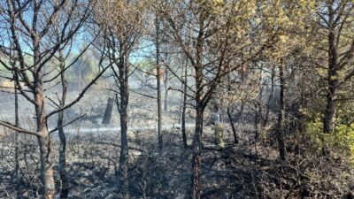 Ata Parti İzmir İl Başkanı Sema Ünal günlerdir İzmir ve