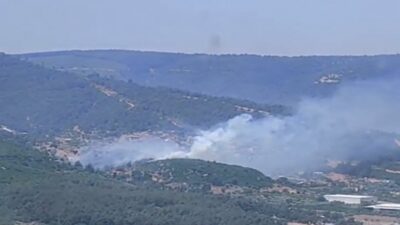 İzmir'in Kemalpaşa ilçesinde ormanlık alanda yangın çıktı. Ekipler yangına havadan