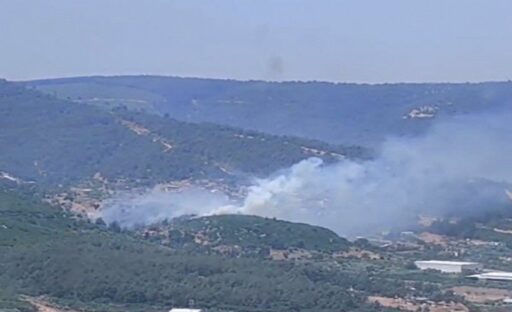 İzmir'in Kemalpaşa ilçesinde ormanlık alanda yangın çıktı. Ekipler yangına havadan