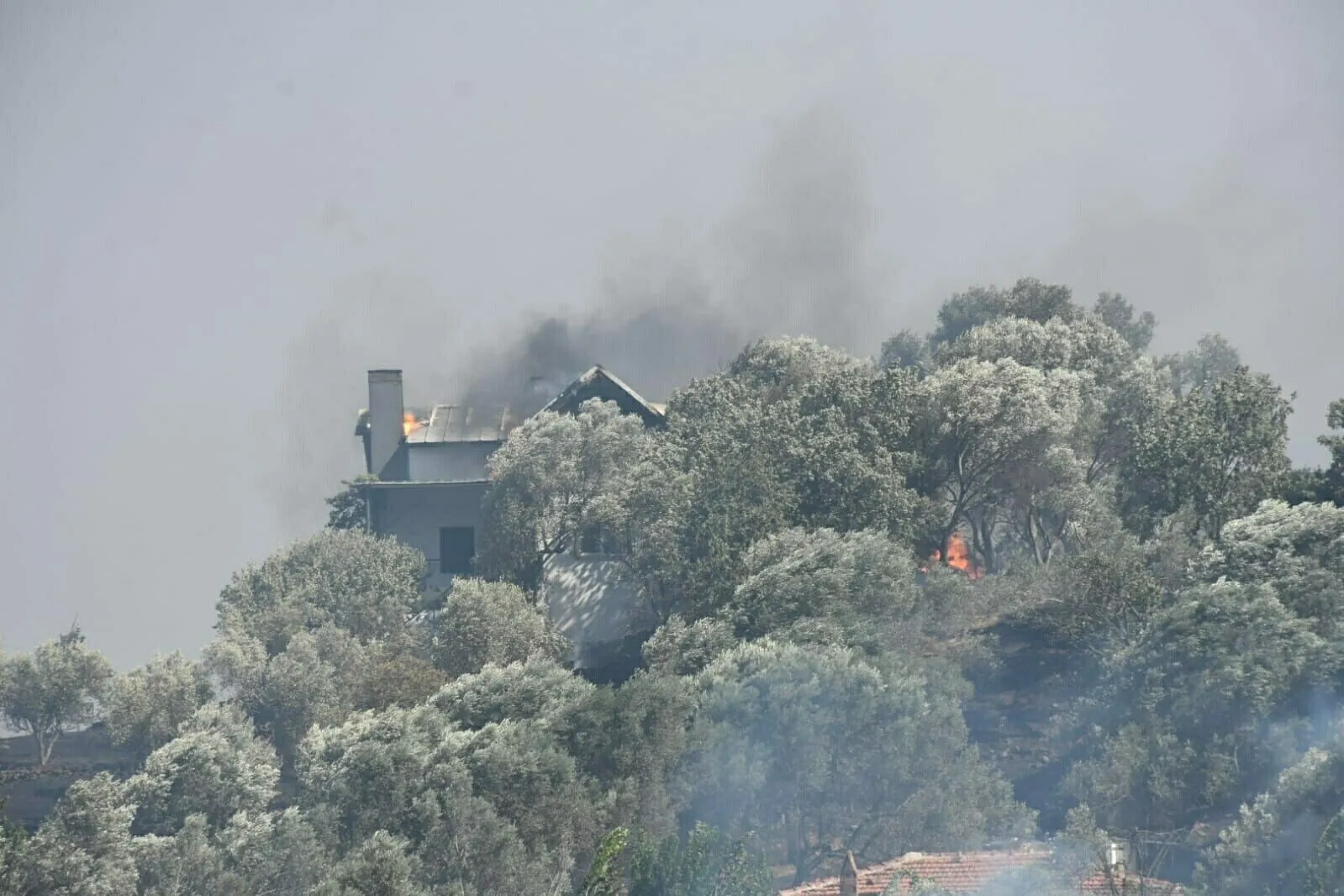 İzmir'de Yangın Felaketi