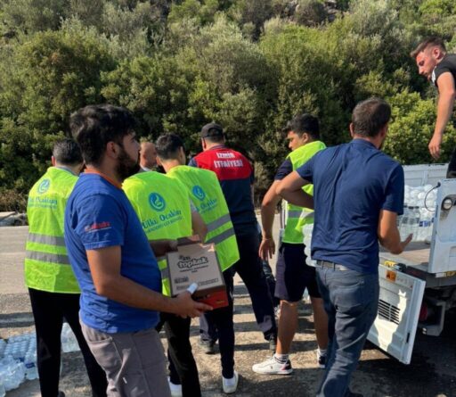 Ülkü Ocakları İzmir İl Başkanlığı, İzmir yangınlarında bir dakika düşünmeden