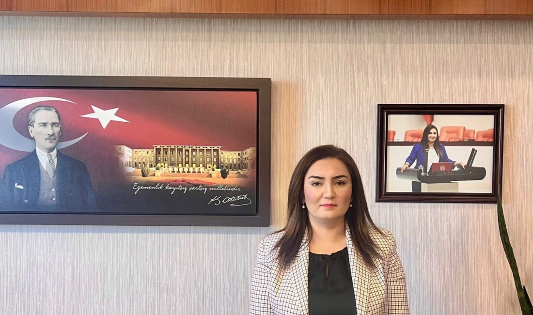 CHP İzmir Milletvekili Sevda Erdan Kılıç, enerji ve maden alanlarına
