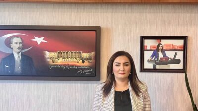 CHP İzmir Milletvekili Sevda Erdan Kılıç, enerji ve maden alanlarına