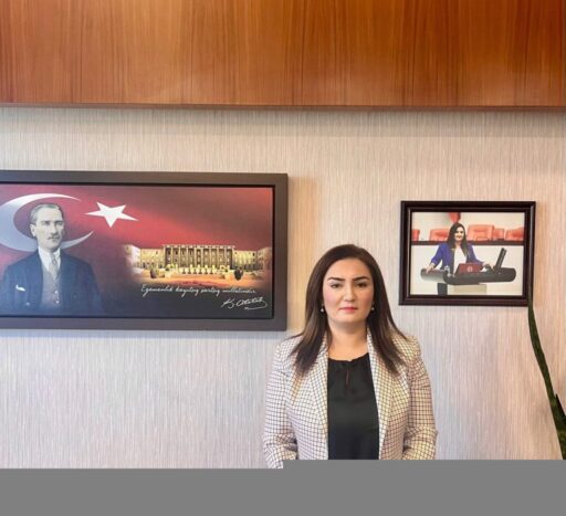 CHP İzmir Milletvekili Sevda Erdan Kılıç, enerji ve maden alanlarına