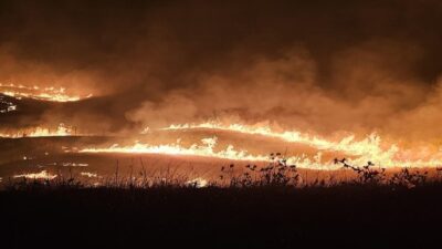 İzmir'in Urla ilçesinde, arazisinde yaktığı mangal ateşinden çıkan kıvılcımların bitişiğindeki