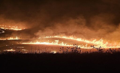 İzmir'in Urla ilçesinde, arazisinde yaktığı mangal ateşinden çıkan kıvılcımların bitişiğindeki