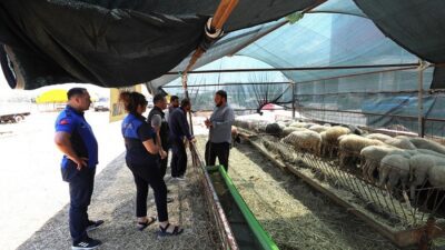 Menderes Belediyesi, Zabıta Müdürlüğü ekipleri ile Kurban Bayramı öncesi denetimler