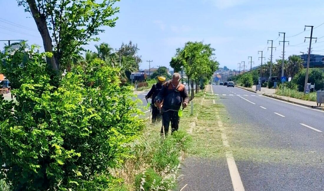 Urla Belediyesi, Kurban Bayramı ve yaz sezonu öncesinde ilçe genelinde