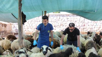 Kurban Bayramı yaklaşırken Buca Belediyesi, vatandaşların ibadetlerini hijyenik ve güvenli