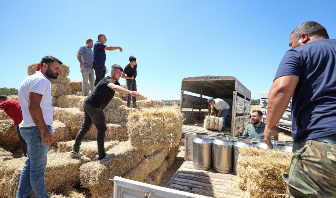Buca Belediyesi’nden hayvancılık yapan köylülere saman balyası desteği Buca Belediyesi, köyler bölgesinde hayvancılıkla uğraşan üreticilere saman balyası desteğinde