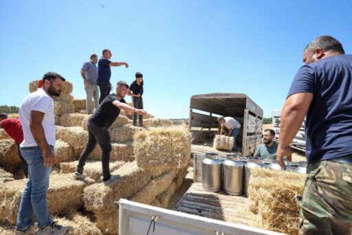 Buca Belediyesi, köyler bölgesinde hayvancılıkla uğraşan üreticilere saman balyası desteğinde