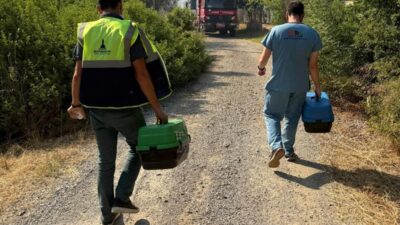 İzmir Büyükşehir Belediyesi, tüm birimleriyle yangın bölgelerindeki yaraları sarmak için