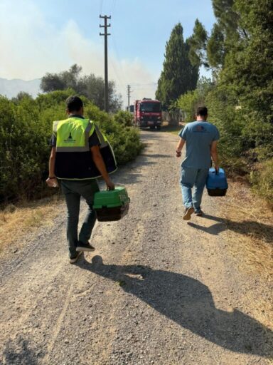 İzmir Büyükşehir Belediyesi, tüm birimleriyle yangın bölgelerindeki yaraları sarmak için