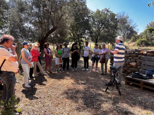 İzmir Büyükşehir Belediyesi’nin İzmirlileri doğayla buluşturduğu “Parkta Etkinlik Var” buluşmalarında