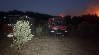 İzmir’in Urla ilçesinde ormanlık alanda başlayan ve rüzgârın da etkisiyle