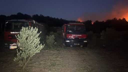 İzmir’in Urla ilçesinde ormanlık alanda başlayan ve rüzgârın da etkisiyle
