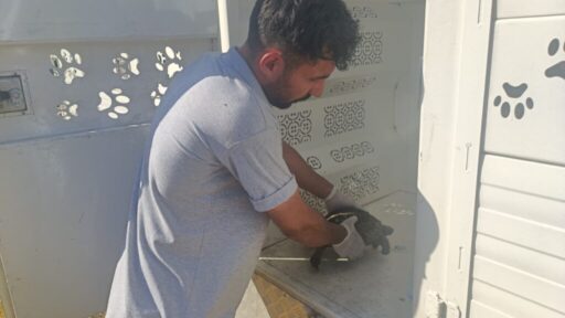 İzmir Büyükşehir Belediyesi ekiplerinin 23 Temmuz’da Bayındır’daki yangında kurtardığı kaplumbağanın