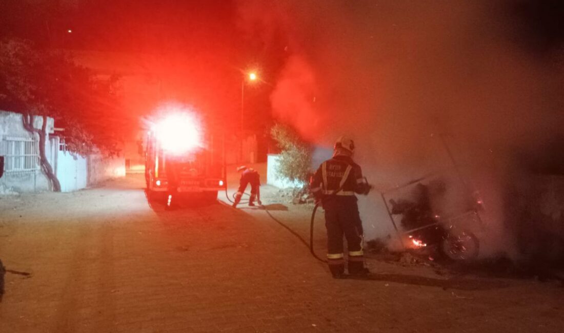 Aydın Büyükşehir Belediyesi İtfaiye Daire Başkanlığı ekipleri, son 48 saat