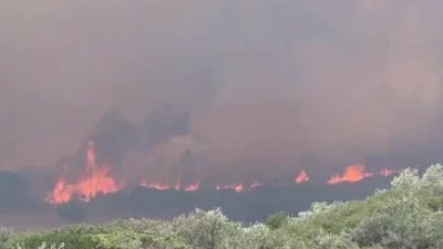 İzmir'in çeşitli ilçelerinde çıkan yangınların son adresi Çeşme oldu Ildırı