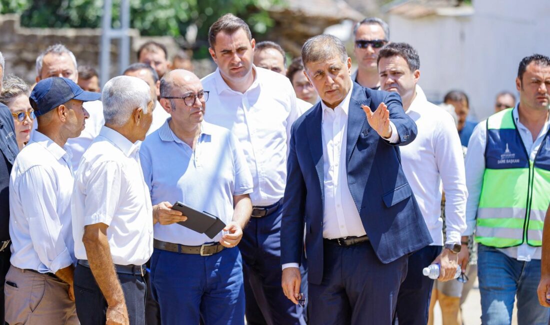 Karadoğan Mahallesi’nde inceleme yapan Tugay, Yangından etkilenen köylerin kış öncesi