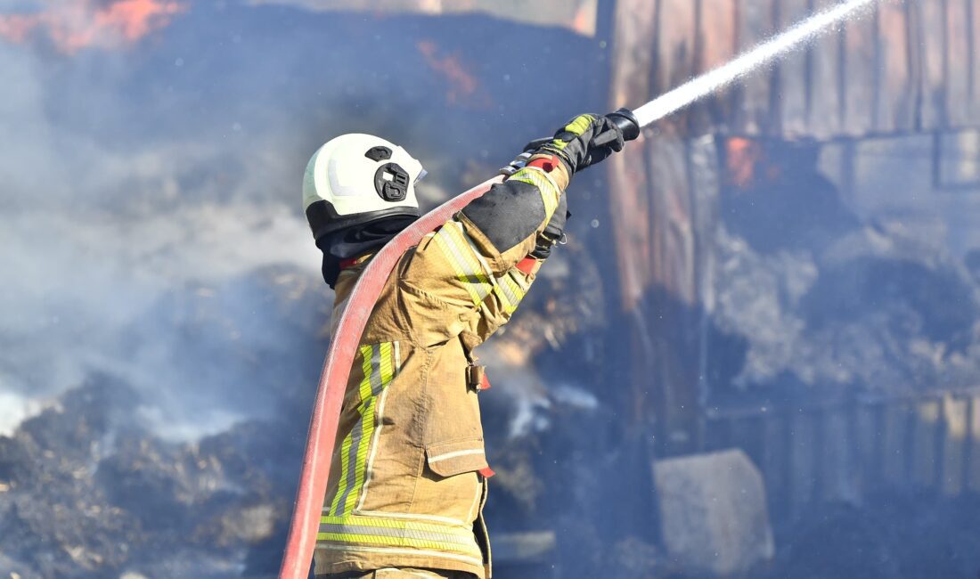 İzmir'in Bayındır ilçesine bağlı Yeşilova Mahallesi’nde çıkan ot yangını, rüzgarın