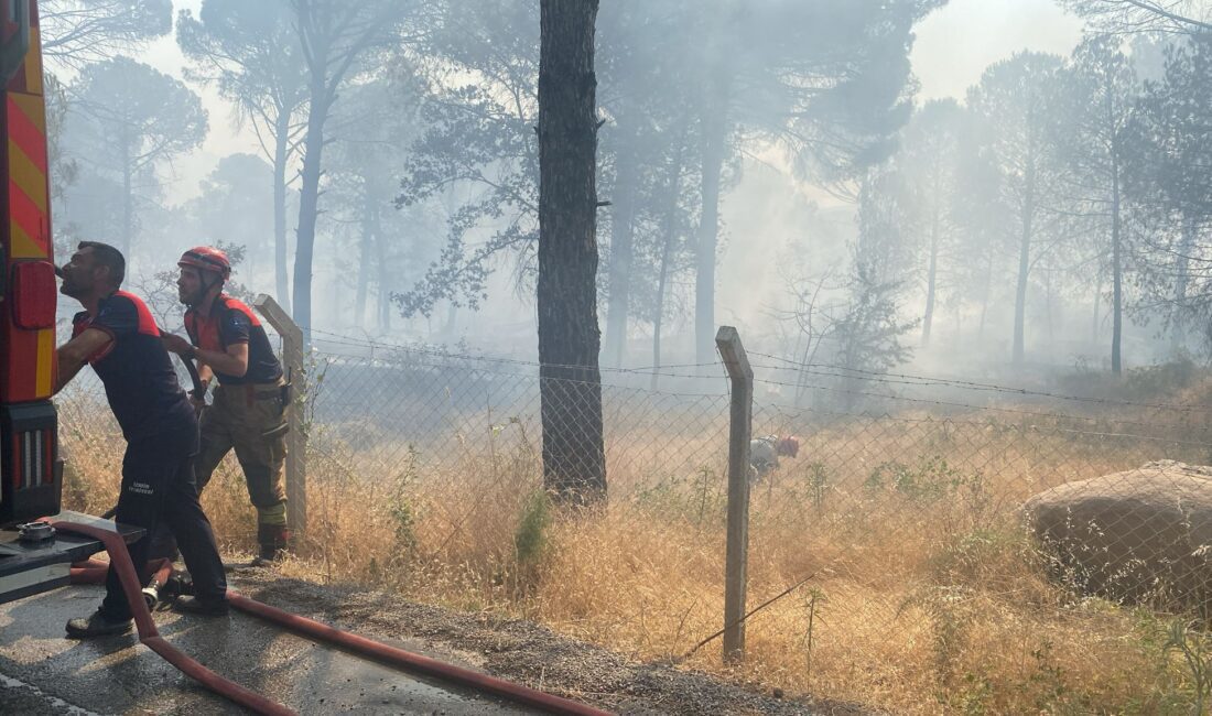 Bergama’da orman yangınına müdahale ediliyor İzmir Büyükşehir Belediyesi’ne bağlı itfaiye ekiplerinin yanı sıra köy muhtarları