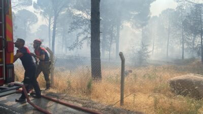İzmir Büyükşehir Belediyesi’ne bağlı itfaiye ekiplerinin yanı sıra köy muhtarları