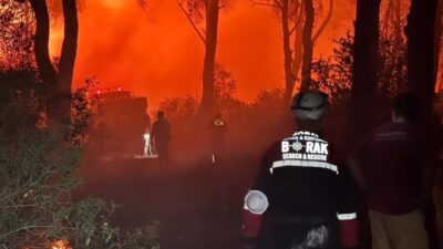 2022 yılında İzmir’de kurulan Bornova Arama Kurtarma Derneği (BORAK), afetlere müdahale