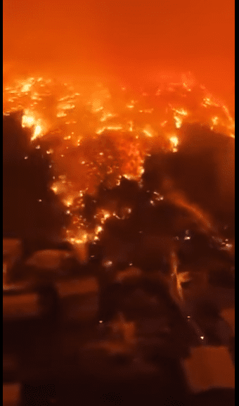 Türkiye’nin dört bir yanı yangınlarla sarsılıyor! Bursa, Karabük, Sakarya, Diyarbakır’da