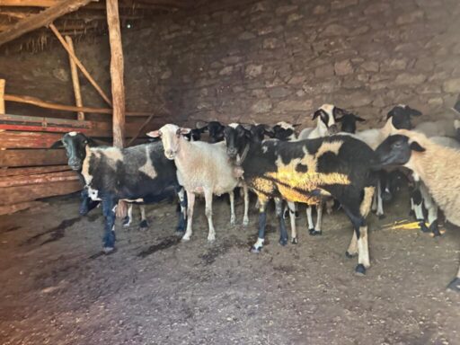 Büyükşehir ekiplerinden Akhisar’daki yangına müdahale