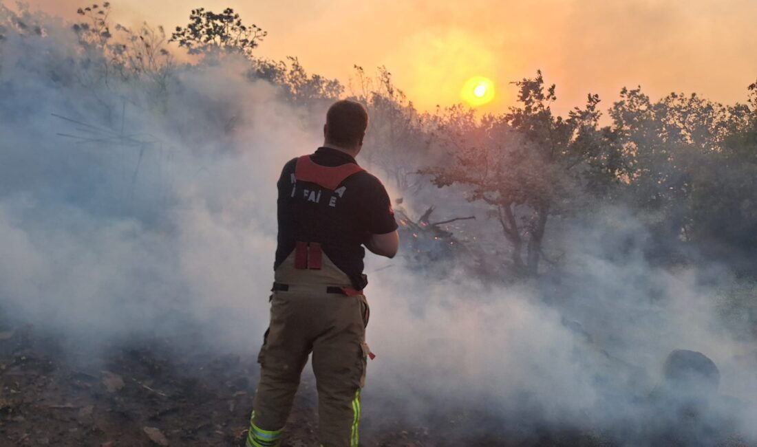 Yangının evlere sıçramasını önleyip koyunları kurtardılar Manisa’nın Akhisar ilçesine bağlı Kocakağan