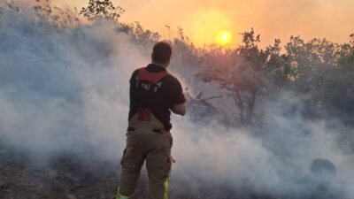 Yangının evlere sıçramasını önleyip koyunları kurtardılar Manisa’nın Akhisar ilçesine bağlı Kocakağan