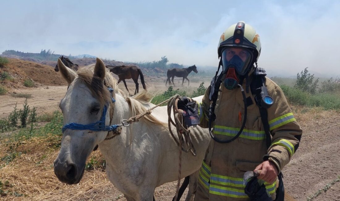 Ateş savaşçıları, yalnızca alevlere karşı savaşmıyor. Yangın bölgesinde mahsur kalan
