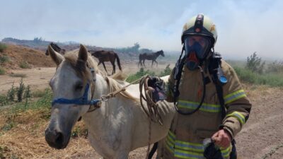 Ateş savaşçıları, yalnızca alevlere karşı savaşmıyor. Yangın bölgesinde mahsur kalan