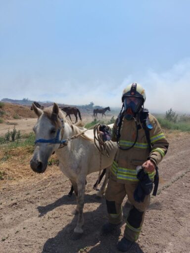 Ateş savaşçıları, yalnızca alevlere karşı savaşmıyor. Yangın bölgesinde mahsur kalan