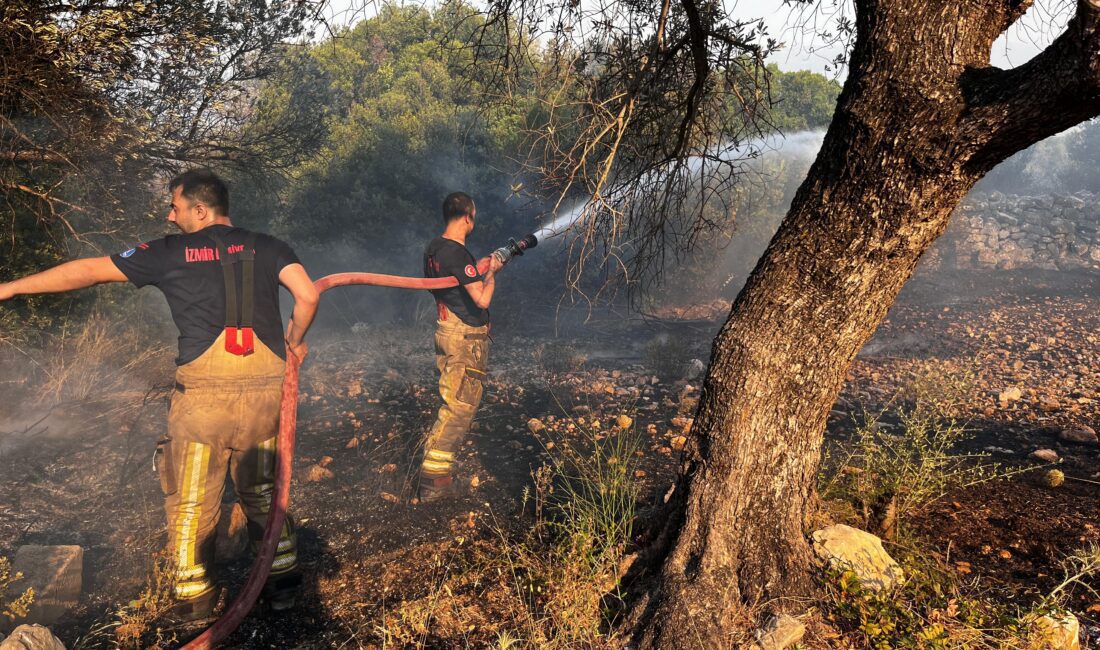 İzmir Büyükşehir Belediyesi İtfaiye ekipleri Çeşme ilçesi Ildır Mahallesi’nde otluk