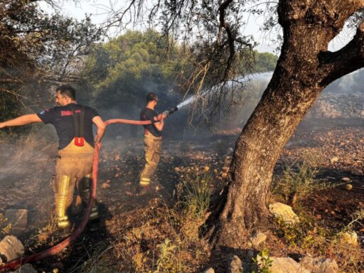 İzmir Büyükşehir Belediyesi İtfaiye ekipleri Çeşme ilçesi Ildır Mahallesi’nde otluk