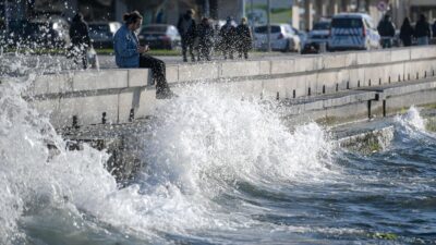 İzmir Büyükşehir Belediyesi İklim Değişikliği ve Sıfır Atık Dairesi Başkanlığı,