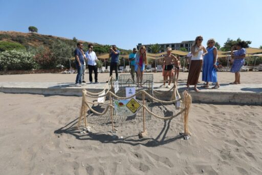 Seyhan Ertürk Kuralı'nın duyurduğu haber ile Gümüldür için yeni bir
