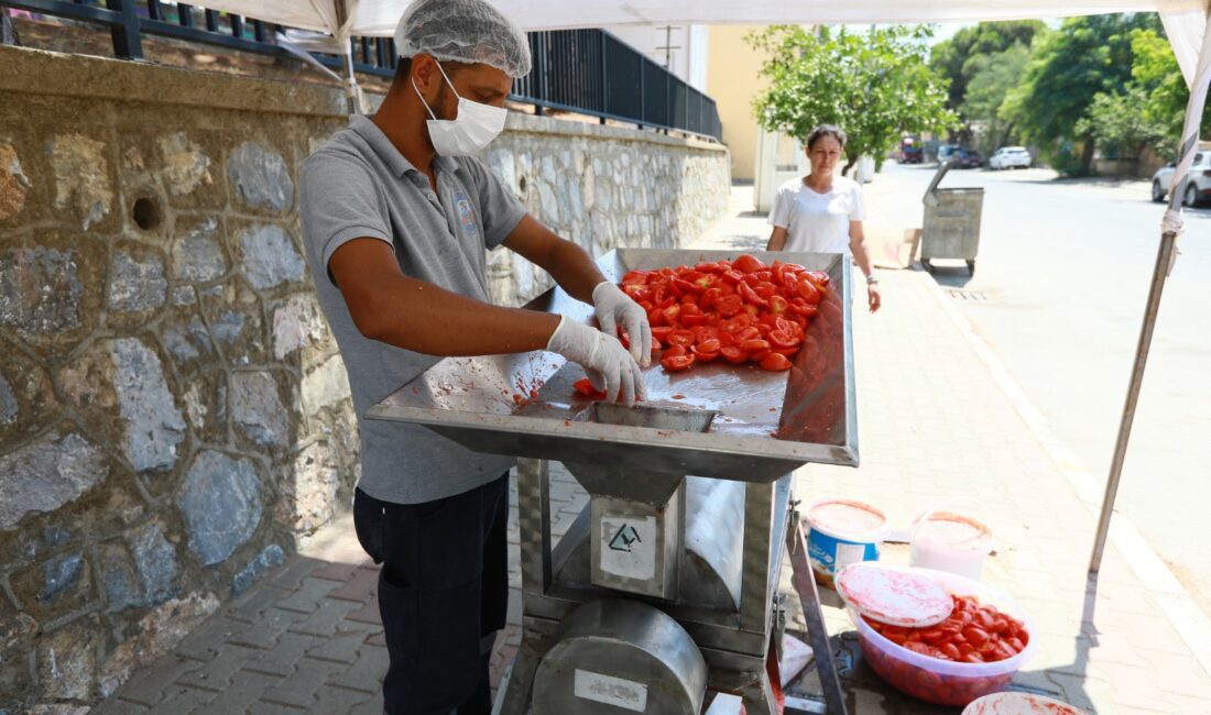 EFES SELÇUK’TA KIŞLIK SALÇA HAZIRLIKLARI BAŞLIYOR Efes Selçuk Belediyesi, yaz mevsiminin vazgeçilmezi olan salça yapımını bu
