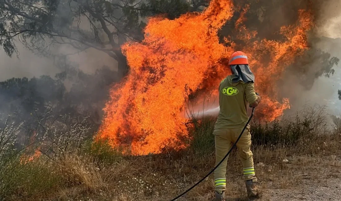 Eskişehir Seyitgazi’de orman yangını faciası: 10 kahraman şehit oldu! Eskişehir Seyitgazi’de orman yangınına müdahale eden 5 orman işçisi ve