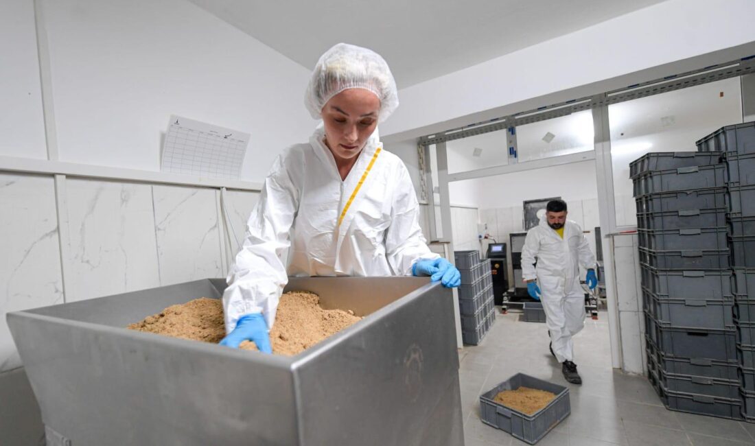 İzmir Büyükşehir Belediyesi can dostlar için mama üretiyor İzmir Büyükşehir Belediyesi, bünyesindeki bakımevlerinde bulunan can dostları, kendi ürettiği