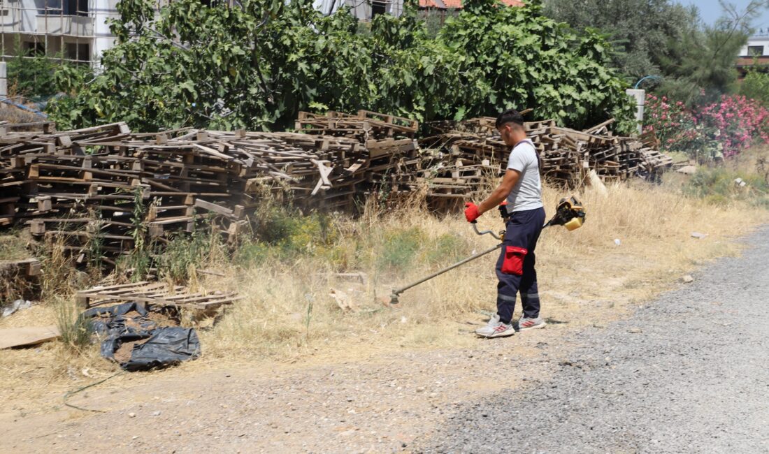 Menderes Belediyesi, yabani otlar ile mücadelesine tüm mahallelerde devam ediyor.