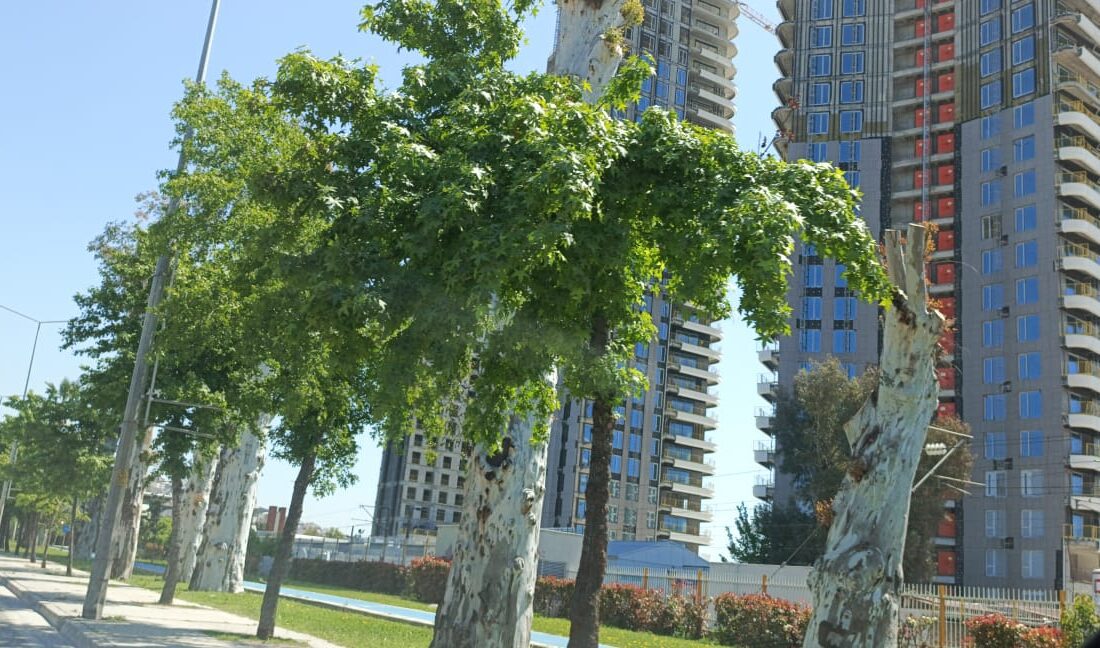 İzmir Bayraklı'da yükselen Rönesans projesi, şehir trafiğini daha da kilitleyecek